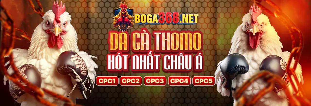 Xem đá gà trực tiếp hôm nay và cá cược hấp dẫn