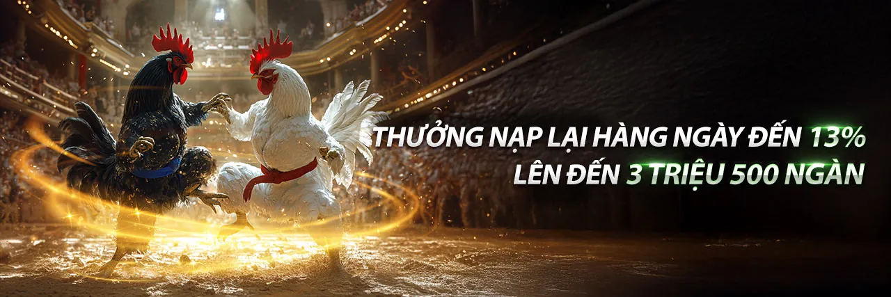 Tổng quan nền tảng dagatructiep hôm nay