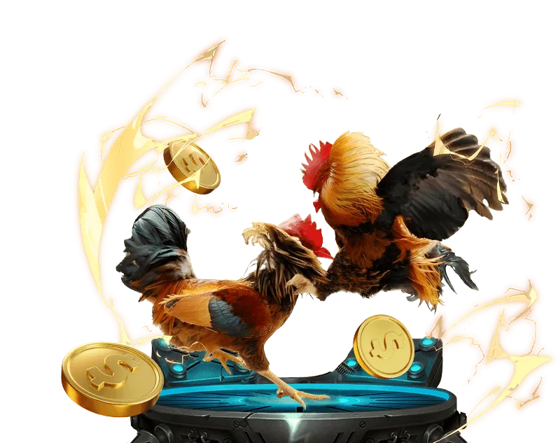 Xem đá gà trực tiếp mọi lúc mọi nơi